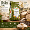 Gobindo Bhog Rice