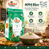 4094 Rice